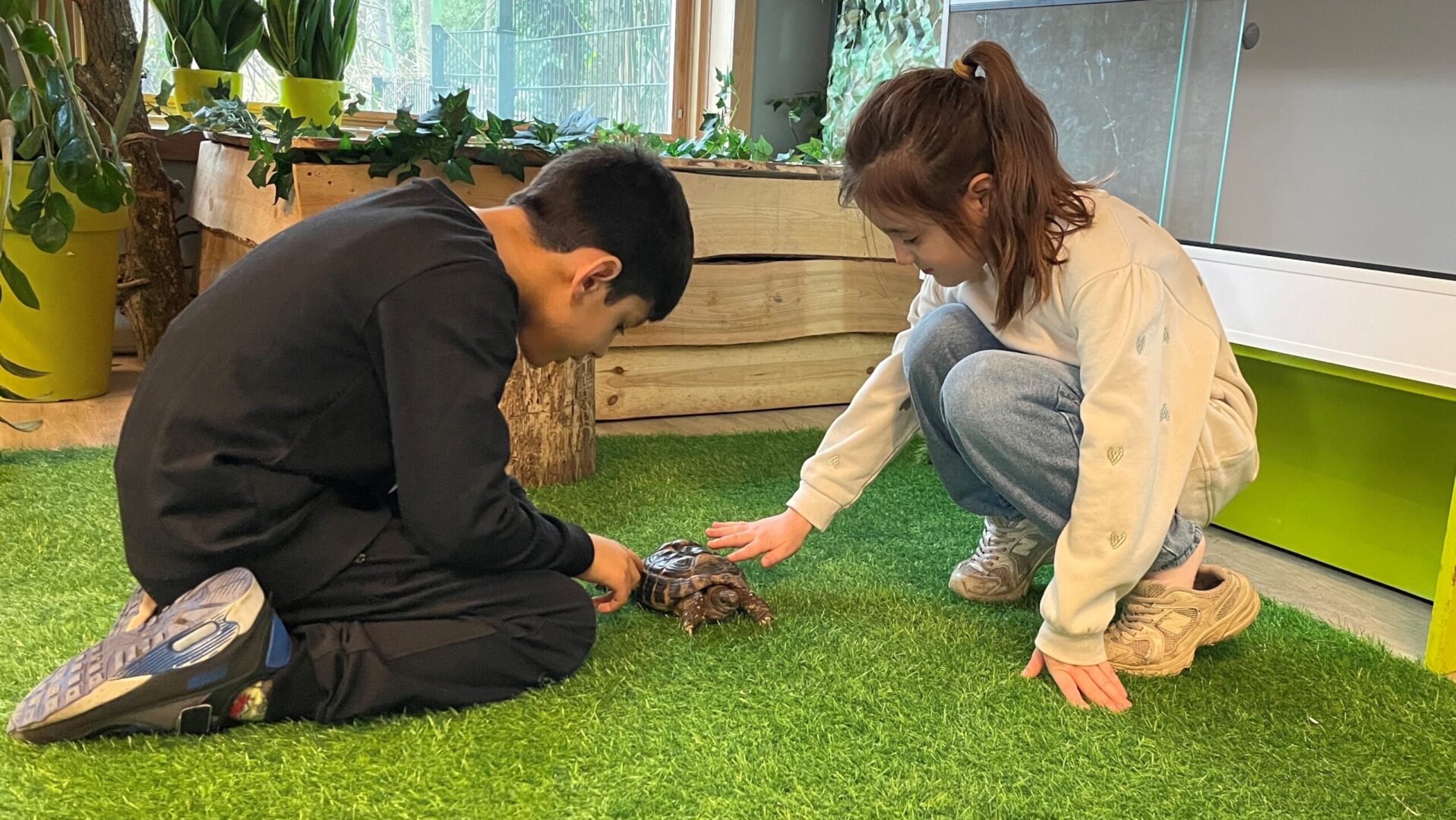 850 leerlingen ontdekken hoe dieren bewegen bij De Elzenhoek