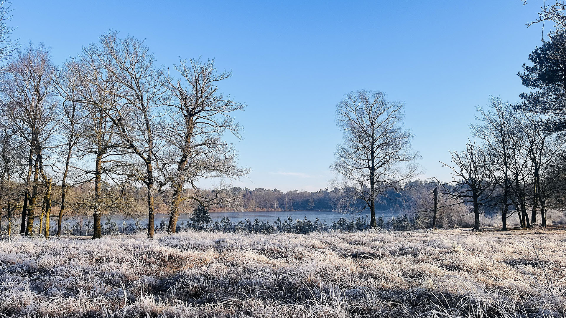 IVN Oss organiseert winterwandeling met snert als afsluiter